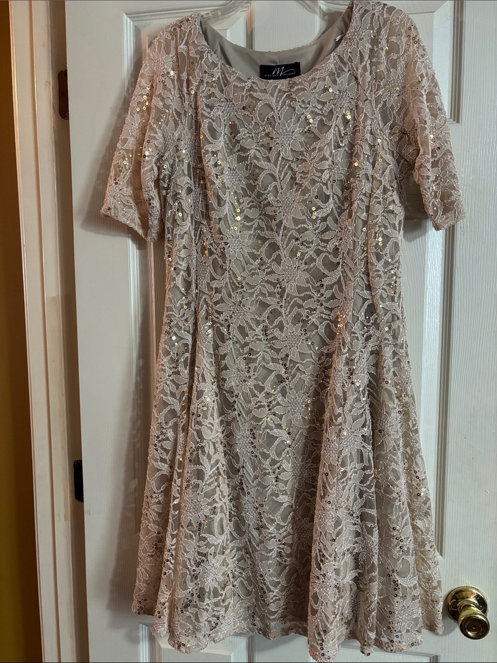 Midnight Velvet Blush Lace Sequin A-Line Dress